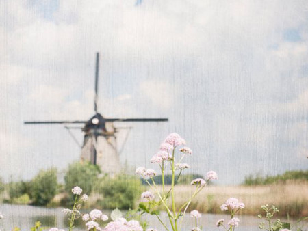 From Holland with Love